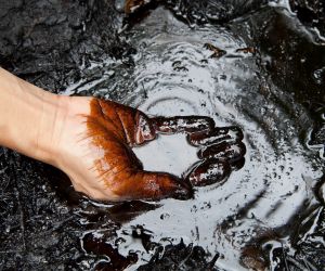 Correlación Commodities y Divisas: Qué es y Cómo Usarla 